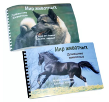 Пособие для слабовидящих - Домашние животные - fgospostavki.ru - Екатеринбург