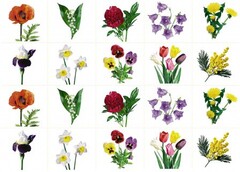 Комплект карточек "Запоминай, играй, считай" - Цветы - fgospostavki.ru - Екатеринбург