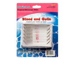 Набор микропрепаратов для микроскопа №1 «Человек» - fgospostavki.ru - Екатеринбург