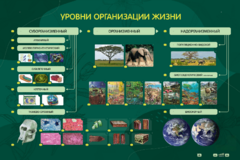 Электрифицированный стенд "Уровни организации жизни" - fgospostavki.ru - Екатеринбург