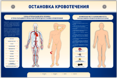 Электрифицированный стенд-тренажер "Остановка кровотечения" - fgospostavki.ru - Екатеринбург
