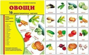 Демонстрационные карточки "Овощи" - fgospostavki.ru - Екатеринбург
