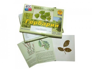Гербарий "Дикорастущие растения" (30 видов, с иллюстрациями) - fgospostavki.ru - Екатеринбург