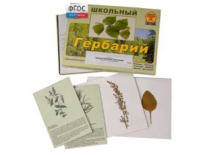 Гербарий "Лекарственные растения" (22 вида с иллюстрациями) - fgospostavki.ru - Екатеринбург