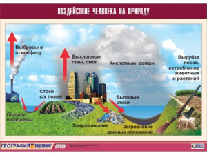 Таблица демонстрационная "Воздействие человека на природу" (винил 70*100) - fgospostavki.ru - Екатеринбург