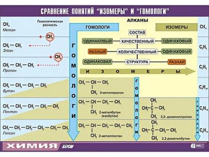 Таблица демонстрационная "Сравнение понятий изомер и гомолог" (винил 70x100) - fgospostavki.ru - Екатеринбург