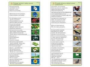 Комплект карточек (10) "Обучающий калейдоскоп. Природа" - fgospostavki.ru - Екатеринбург