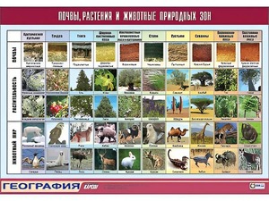 Таблица демонстрационная "Почвы, растения и животные природных зон" (винил 70*100) - fgospostavki.ru - Екатеринбург