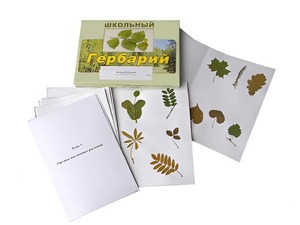 Гербарий "Морфология растений" (6 тем, 30 видов) - fgospostavki.ru - Екатеринбург