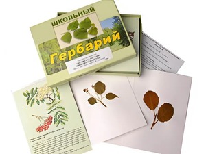 Гербарий "Систематика растений. Семейство Розоцветные" (раздаточный) - fgospostavki.ru - Екатеринбург
