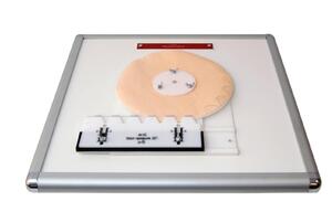 Комплекс "Изучение зубьев" - fgospostavki.ru - Екатеринбург