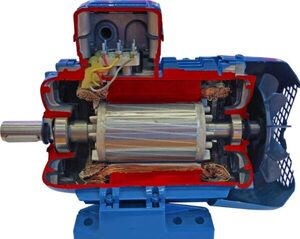 Учебная модель «Электродвигатель асинхронный в разрезе» - fgospostavki.ru - Екатеринбург