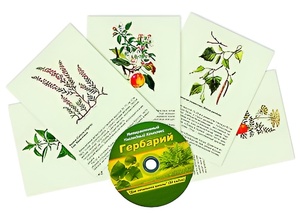 Интерактивный наглядный комплекс "Гербарий "Для начальной школы" - fgospostavki.ru - Екатеринбург