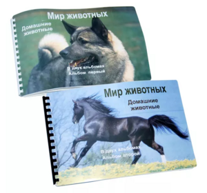 Пособие для слабовидящих - Домашние животные - fgospostavki.ru - Екатеринбург