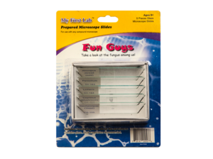 Набор микропрепаратов для микроскопа №8 «Грибы» - fgospostavki.ru - Екатеринбург