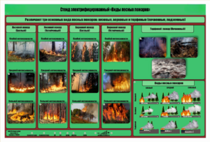 Стенд-планшет электрифицированный «Виды лесных пожаров»  - fgospostavki.ru - Екатеринбург