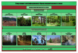 Стенд-планшет электрифицированный «Оценка пожарной опасности в лесах»  - fgospostavki.ru - Екатеринбург