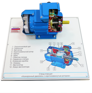 Стенд-планшет «Асинхронный двигатель с короткозамкнутым ротором» - fgospostavki.ru - Екатеринбург