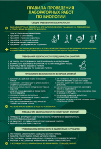 Стенд "Правила выполнения лабораторных работ по биологии" Вариант 1 - fgospostavki.ru - Екатеринбург