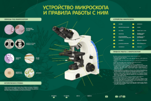 Электрифицированный стенд "Устройство микроскопа и правила работы c ним" - fgospostavki.ru - Екатеринбург
