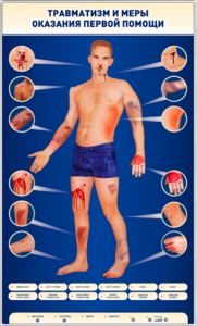 Электрифицированный стенд-тренажер "Травматизм и меры оказания первой помощи" - fgospostavki.ru - Екатеринбург