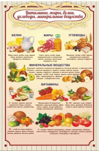 Стенд "Витамины, жиры, белки" - fgospostavki.ru - Екатеринбург