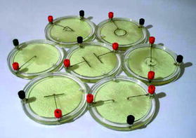 Демонстрационный комплект «Силовые линии электрического поля разных систем зарядов» - fgospostavki.ru - Екатеринбург