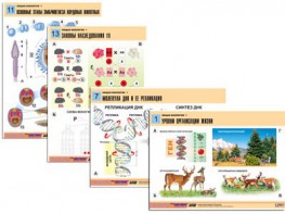 Комплект таблиц по биологии демонстрационных "Общая биология 1" (16 таблиц, формат А1, ламинированные) - fgospostavki.ru - Екатеринбург