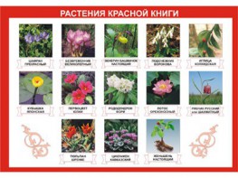 Таблица демонстрационная "Растения Красной книги" (винил 70*100) - fgospostavki.ru - Екатеринбург