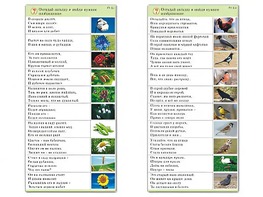 Комплект карточек (10) "Обучающий калейдоскоп. Природа" - fgospostavki.ru - Екатеринбург