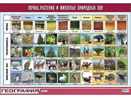 Таблица демонстрационная "Почвы, растения и животные природных зон" (винил 70*100) - fgospostavki.ru - Екатеринбург