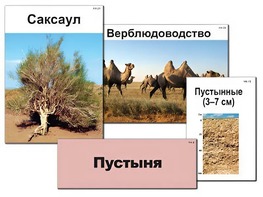 Модель-аппликация "Природные зоны России" (ламинированная) - fgospostavki.ru - Екатеринбург