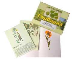 Гербарий "Систематика растений. Семейство Пасленовые. Крестоцветные. Сложноцветные" (раздаточный) - fgospostavki.ru - Екатеринбург
