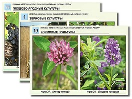 Гербарий фотографический "Сельскохозяйственные растения России" - fgospostavki.ru - Екатеринбург