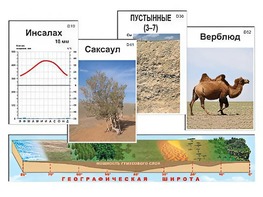 Модель-аппликация "Природные зоны" - fgospostavki.ru - Екатеринбург