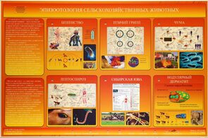 Электрифицированный стенд «Эпизоотология сельскохозяйственных животных» - fgospostavki.ru - Екатеринбург