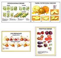 Плакаты ПРОФТЕХ "Ассортимент овощных культур" (12 пл, винил, 70х100) - fgospostavki.ru - Екатеринбург