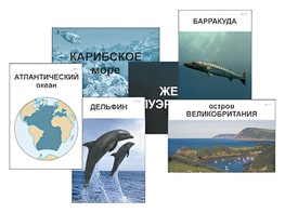 Модель-аппликация "Океаны. Знакомство" (ламинированная) - fgospostavki.ru - Екатеринбург