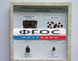 Коллекция энтомологическая "Примеры защитных приспособлений у насекомых" - «ФГОС Поставки»