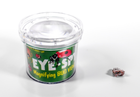 Бокс для наблюдения за насекомыми BUGV-01 - fgospostavki.ru - Екатеринбург