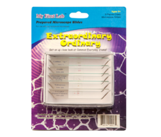 Набор микропрепаратов для микроскопа №3 «Необычное в обычном» - fgospostavki.ru - Екатеринбург