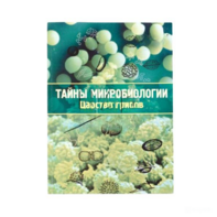Набор «Тайны микробиологии» (Царство грибов) - fgospostavki.ru - Екатеринбург