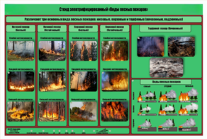 Стенд-планшет электрифицированный «Виды лесных пожаров»  - fgospostavki.ru - Екатеринбург