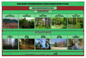Стенд-планшет электрифицированный «Оценка пожарной опасности в лесах»  - fgospostavki.ru - Екатеринбург