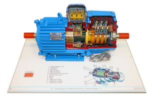 Стенд-планшет «Асинхронный двигатель с фазным ротором» - fgospostavki.ru - Екатеринбург