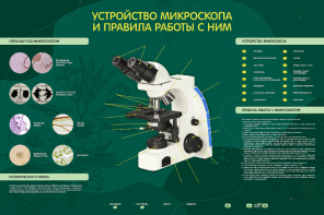 Электрифицированный стенд "Устройство микроскопа и правила работы c ним" - fgospostavki.ru - Екатеринбург