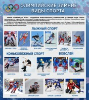 Стенд "Олимпийские зимние виды спорта" - fgospostavki.ru - Екатеринбург