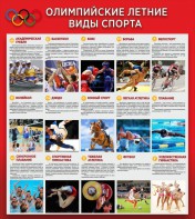 Стенд "Олимпийские летние виды спорта" - fgospostavki.ru - Екатеринбург